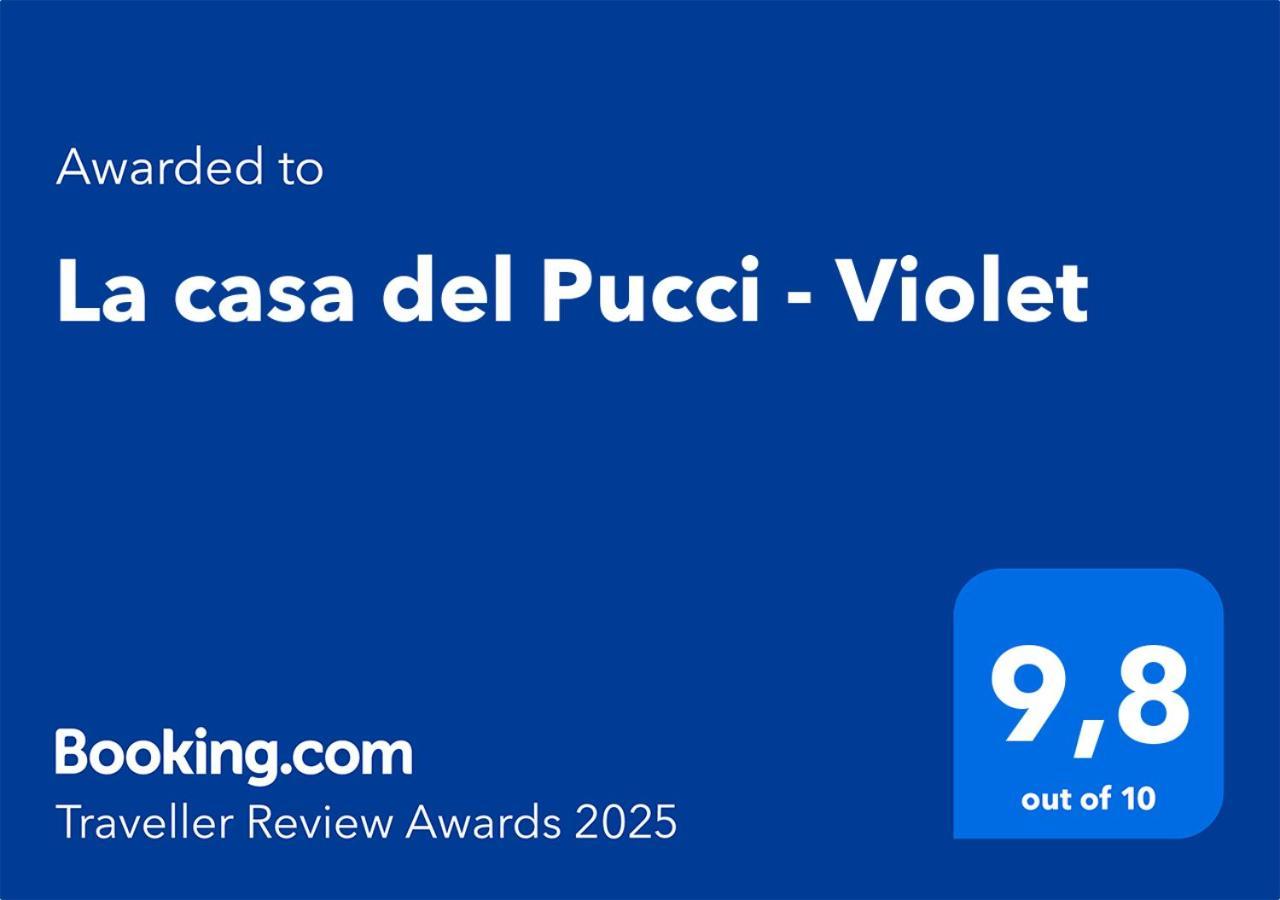 Апартаменти Violet - La Casa Del Pucci Лукка Екстер'єр фото